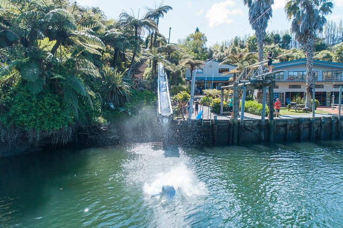 Tauranga: Waimarino Adventure Park - Key Points