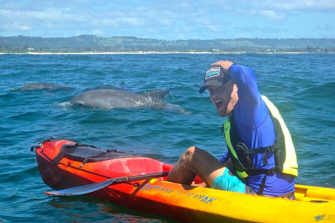 The Byron Bay Sea Kayak Tour - Key Points