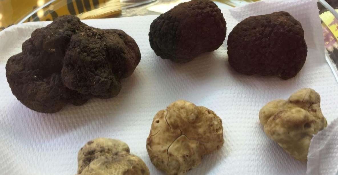 The Truffle Experience in Rome - Key Points