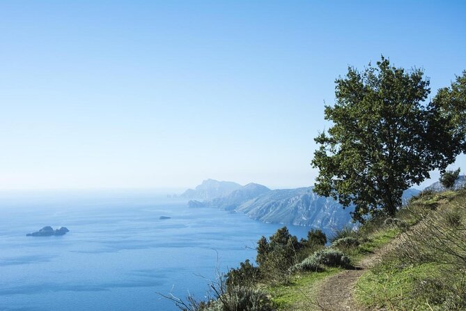 Trail of the Gods With Local Guide Saveria Fiore Ladybug - Key Points