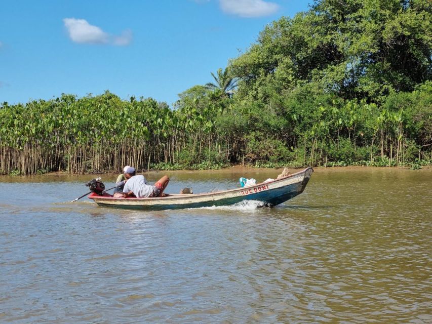 Transfer From Barreirinhas to Parnaíba - Key Points