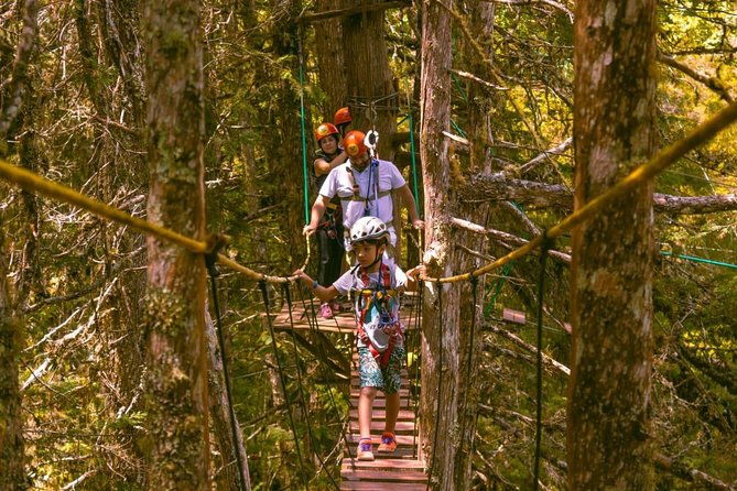 Tree Climbing in Horto Florestal - Campos Do Jordão - Key Points