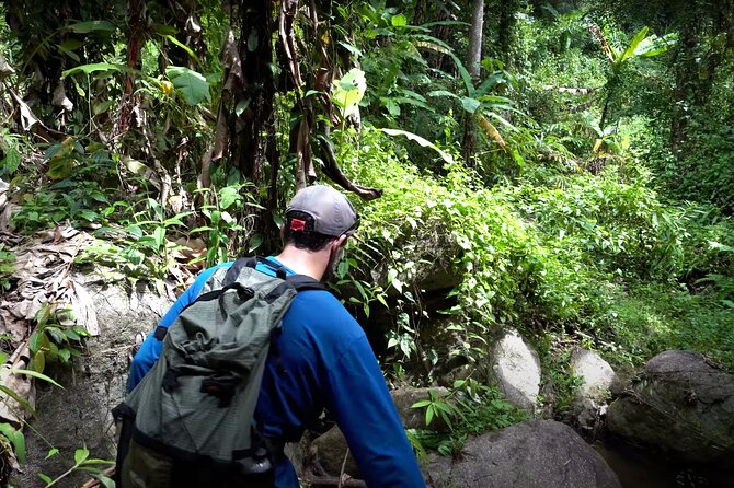 Trek to a Jungle Waterfall - Overview of the Trek