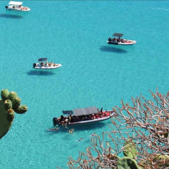 Tropea: Boat Excursions, Snorkeling - Key Points