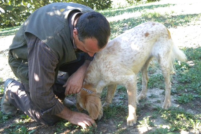 Truffle Hunt & Barolo Wine Tasting - Experience Overview