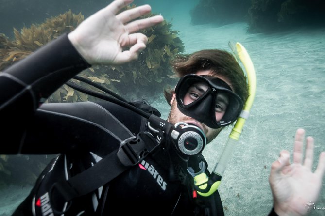 Try Scuba Diving - Key Points