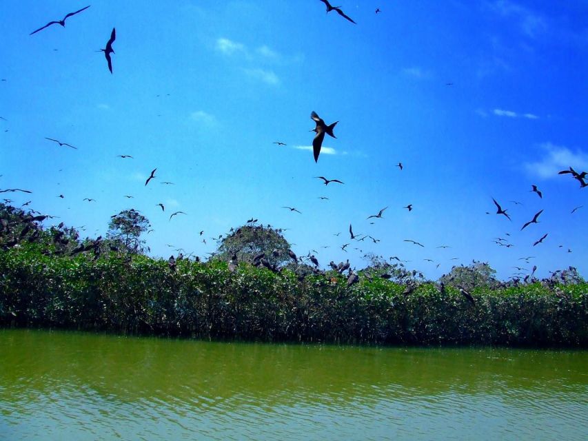 Tumbes: Mangrove National Sanctuary - Key Points