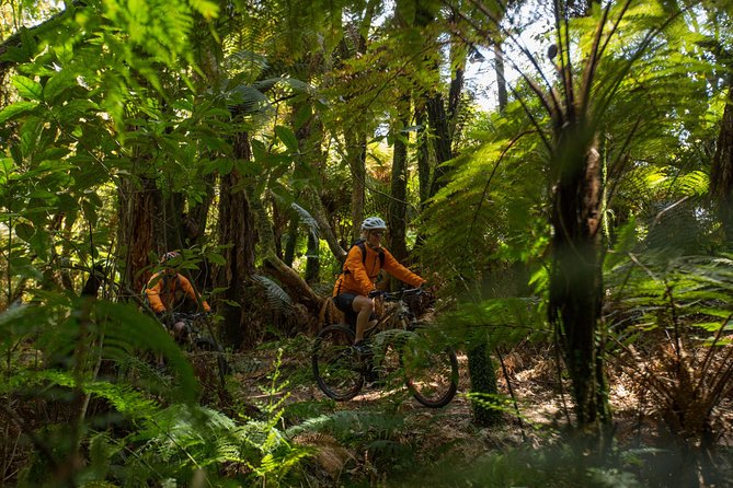 Two Day Bike Hire in Ongarue - Key Points