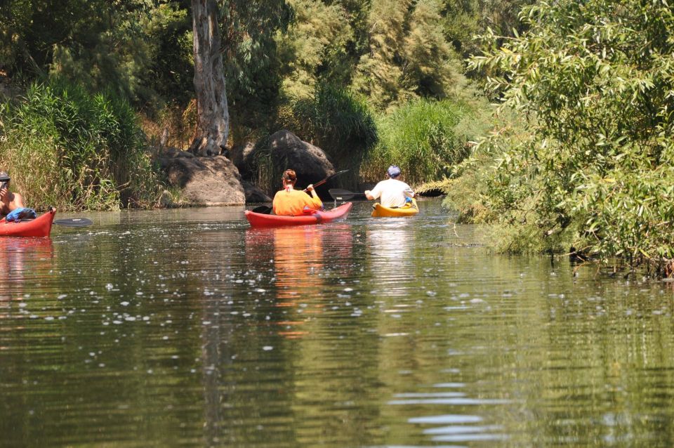 Valledoria: Coghinas River Kayak Rental - Key Points