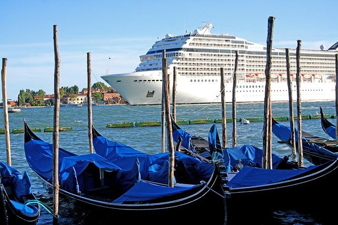 Venice Private Arrival Transfer by Water Taxi: Cruise Port to Central Venice - Good To Know