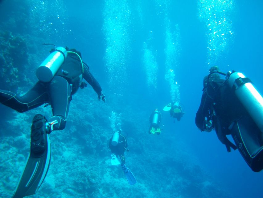 Vieste: Scuba Experience and Diving Courses - Key Points