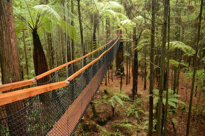 Wai-O-Tapu to Redwoods and Secret Spot - Key Points