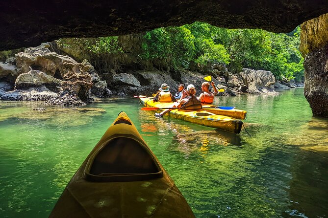 What a Great Combination, Day Cruise and Night Kayak With Glowing Biolumenescent - Overview of the Experience