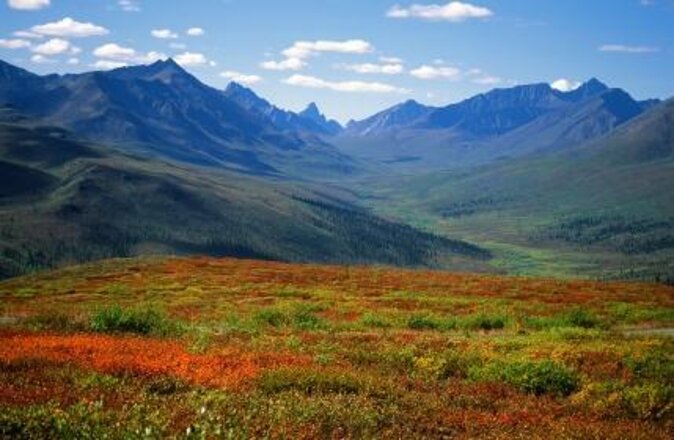 Yukon Suspension Bridge and Summit Tour - Key Points