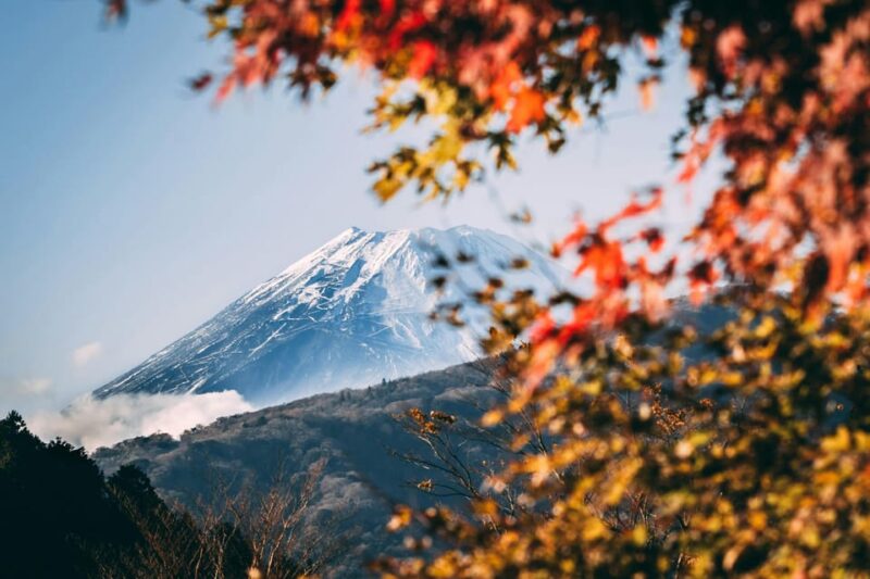 1-Day Mt Fuji Sightseeing Trip From Tokyo - Key Points