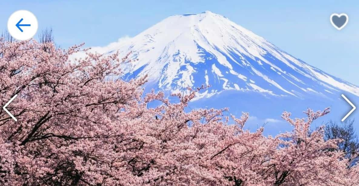 1 Day Mt Fuji Tour With Pick up and Drop off From Tokyo - Key Points