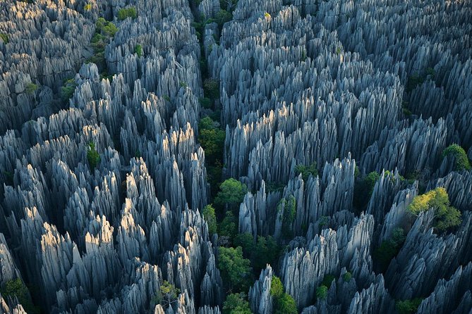 1 Day Stone Forest & Jiuxiang Cave Tour - Good To Know