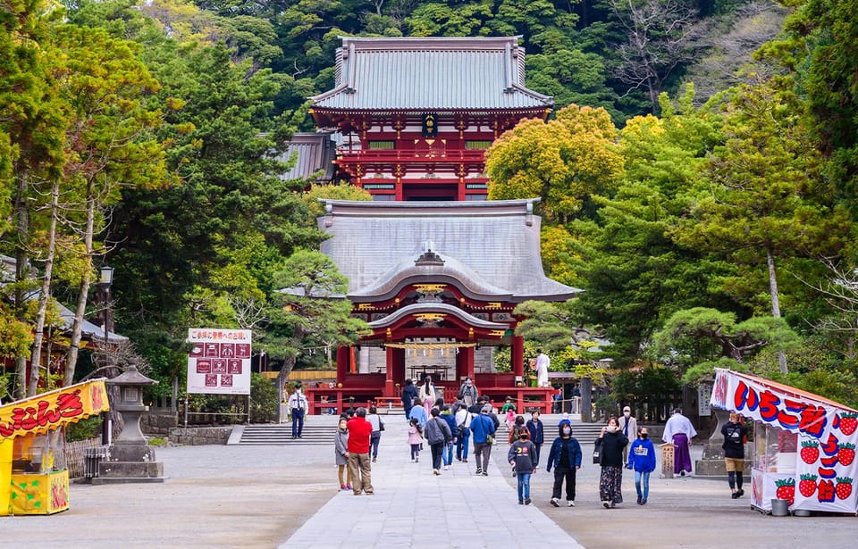 1-Day Tour of Kamakura Buddha, Enoshima, Shrine From Tokyo - Tour Overview and Pricing