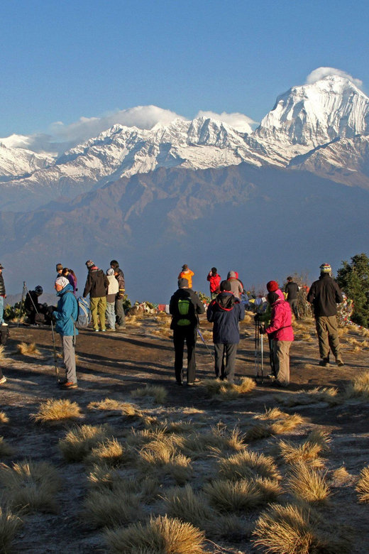 1 Night 2 Days Poon Hill Trek From Pokhara - Key Points