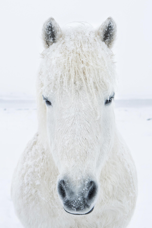 1 Week Luxury Iceland Aurora Borealis Photography Workshop - Key Points