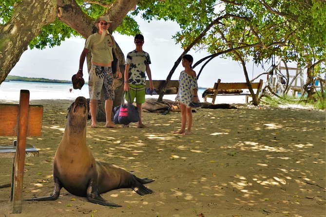 10-Day Galapagos Multi-Sport - Tour Overview