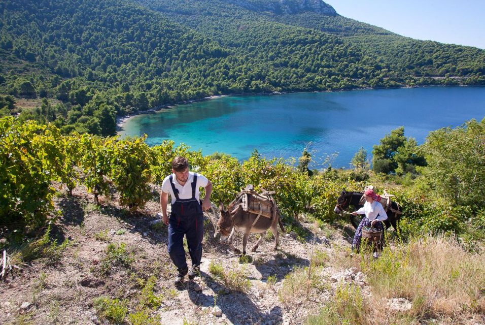 Dubrovnik: Wine & Gastro Private Tour to Pelješac Peninsula - Frequently Asked Questions