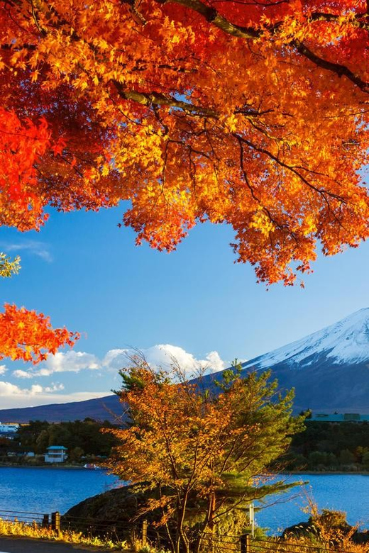 Private Customized Tour in Mount Fuji - Frequently Asked Questions