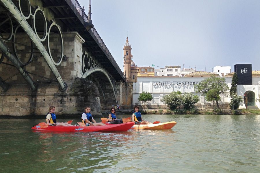 Seville Guadalquivir River Kayak Tour - Environmental Insights