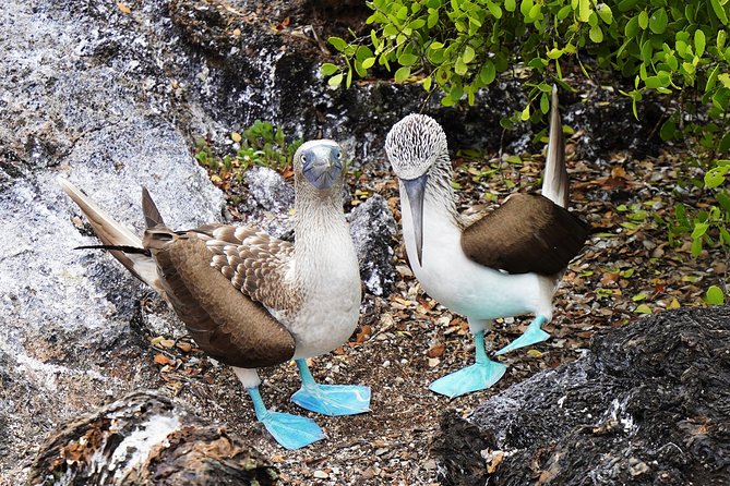 10-Day Galapagos Multi-Sport