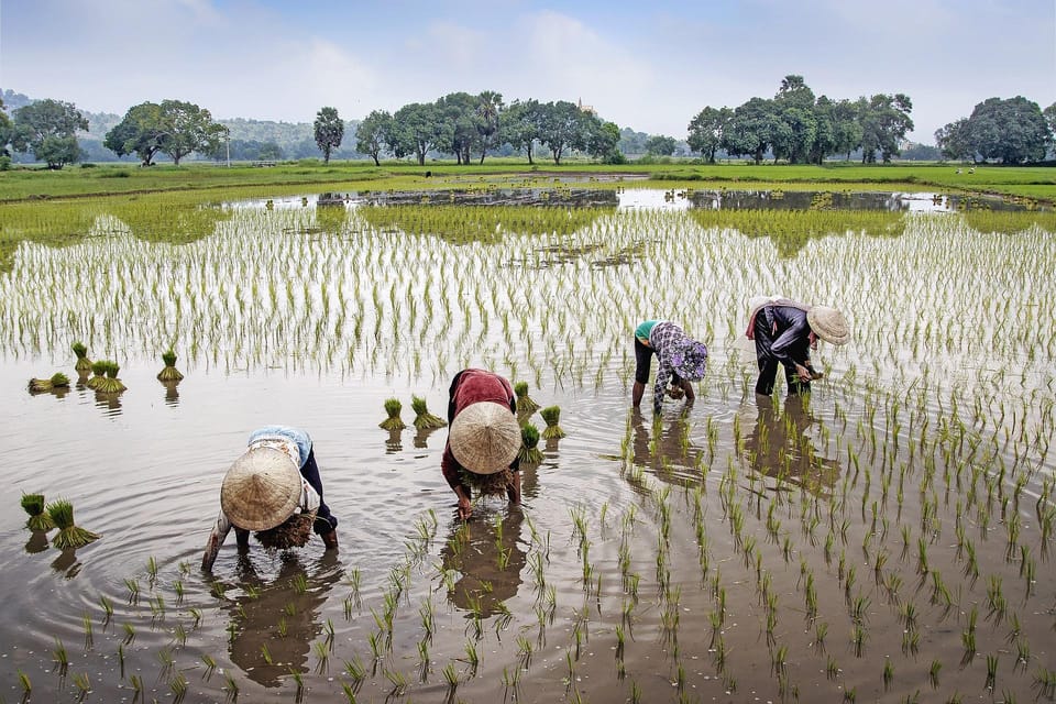 12-DAY Vietnam and Cambodia Tour With Hạ Long Bay Cruise - Tour Overview and Pricing