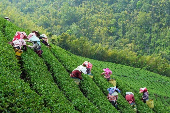 2-Day Unlimited Private Trip to Suzhou and Hangzhou by Bullet Train From Shanghai