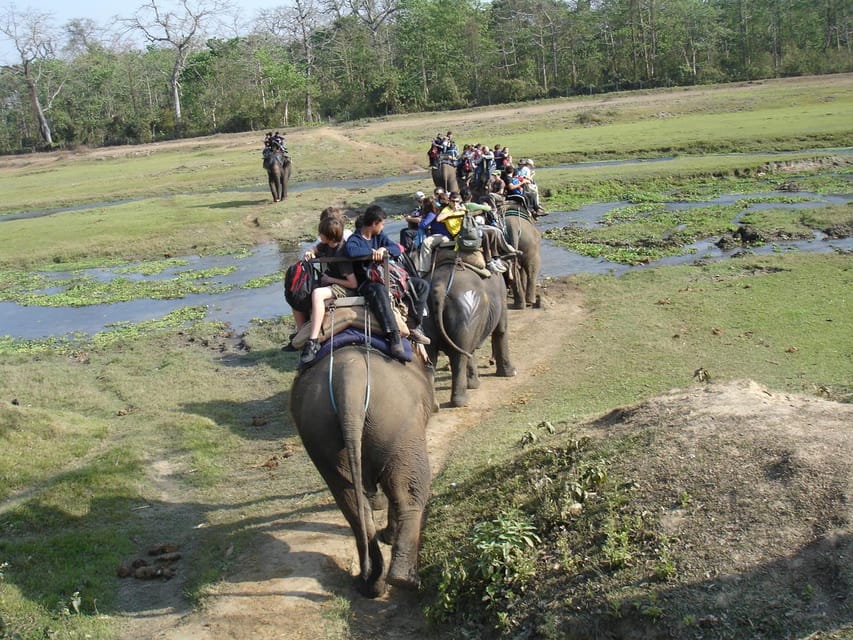 2 Nights 3 Days Chitwan Jungle Safari Package All Inclusive - Experience Highlights