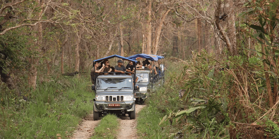 2 Nights 3 Days Chitwan Jungle Safari Package All Inclusive - Day 01 Activities