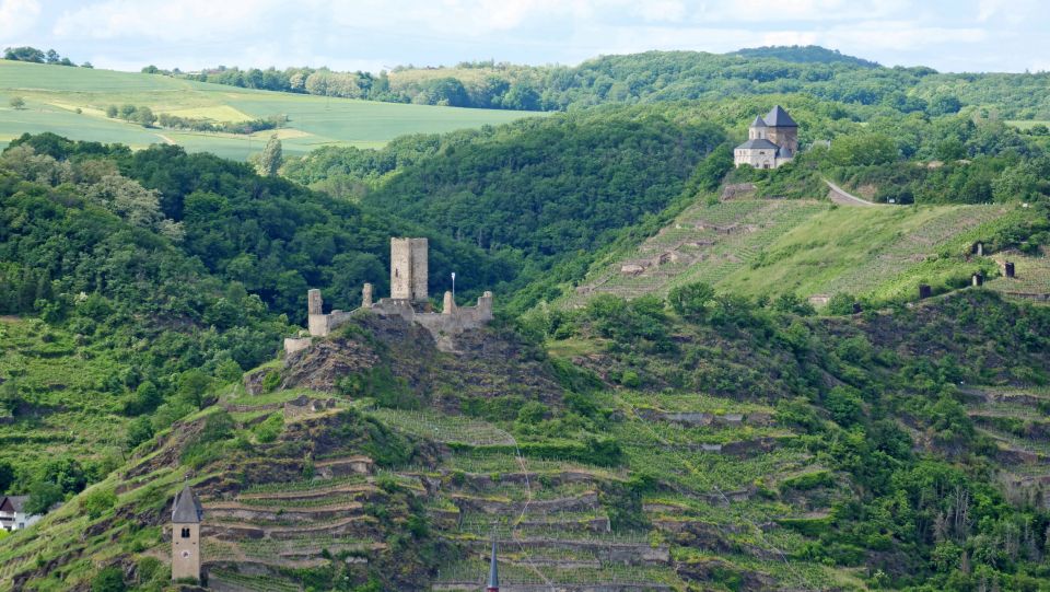 2-River Day-Trip by Boat to Koblenz and Return From Alken - Trip Overview