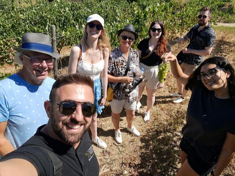 2 Wineries Tour With Wine Tasting, Olive Oil Tasting & Lunch