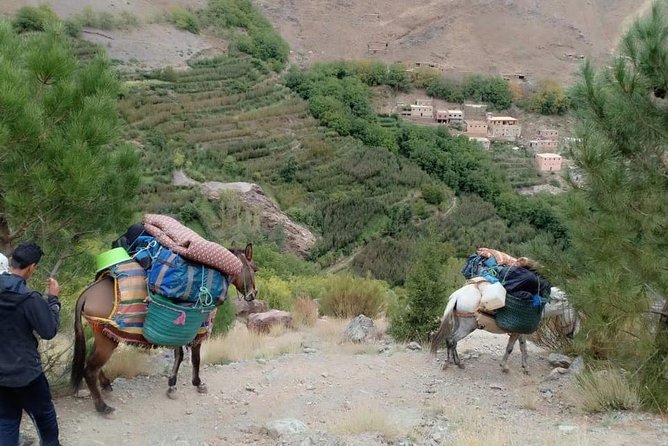 3 Day Trek in the Atlas Mountains and Berber Villages From Marrakech - Overview of the Trek