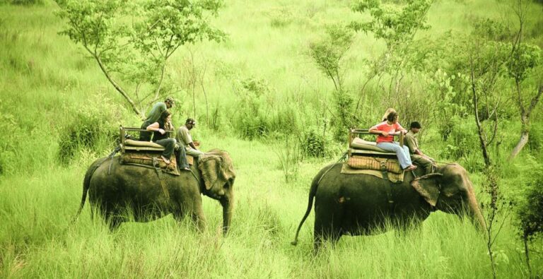 3 Days Chitwan Safari Tour