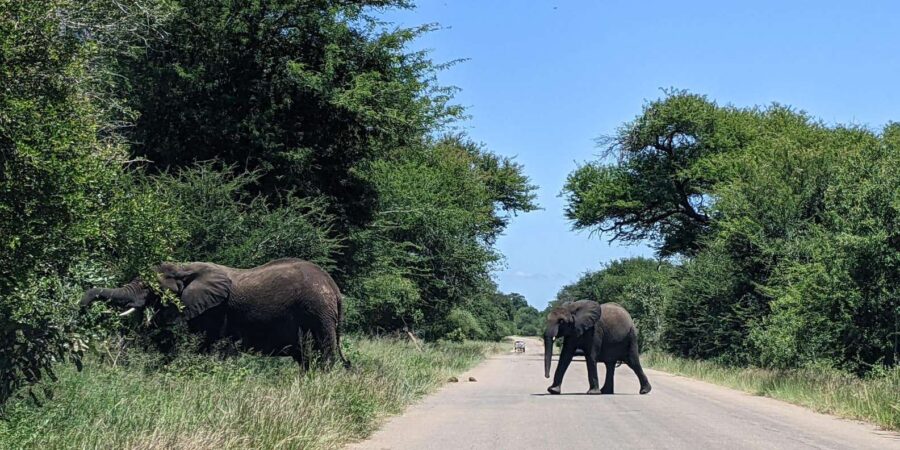 3-Days Kruger Park Safari & Panorama Route - Tour Overview