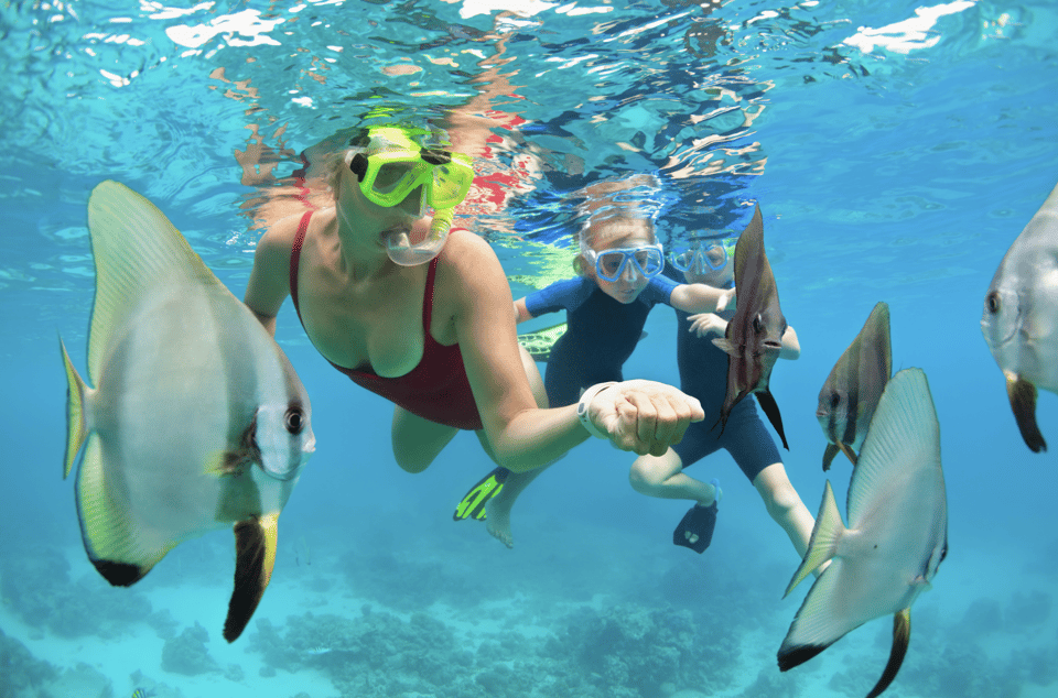 3- Hour Waikiki Snorkel Adventure - Vessel and Amenities