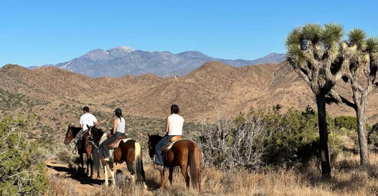 3 Hr Guided Horseback Ride: Joshua Tree National Park