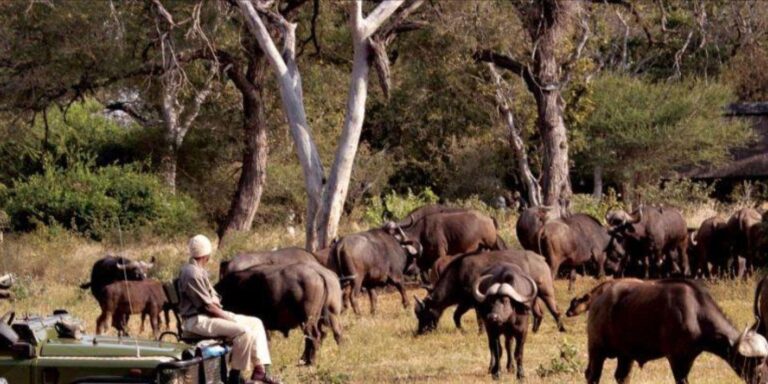 4 Day Kruger National Park Private Safari From Johannesburg