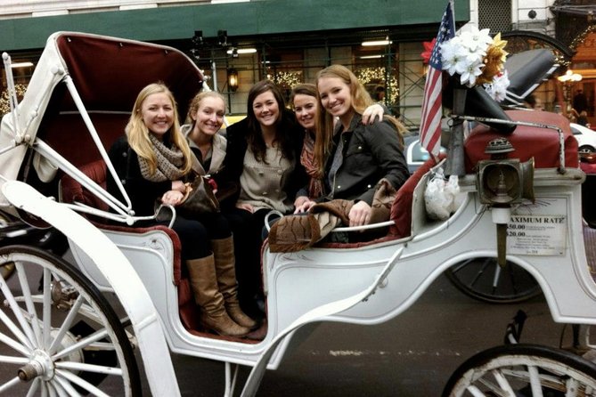 50 Minutes Central Park Horse and Carriage Tour Up to 4 Adults - Scenic Highlights