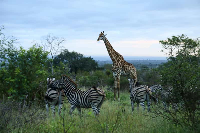 7 Days South Africa and Eswatini Adventure Tour