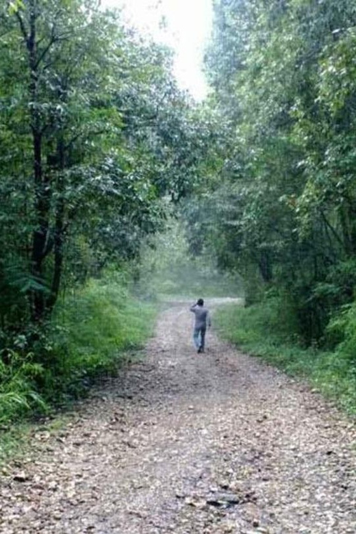 A Day Hiking From Kathmandu: Phulchowki Hill - Overview of Phulchowki Hill