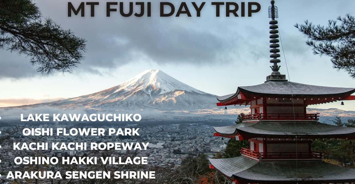 A Full Day Tour in a Private Car or Van of Mt Fuji - Oishi Flower Park Experience