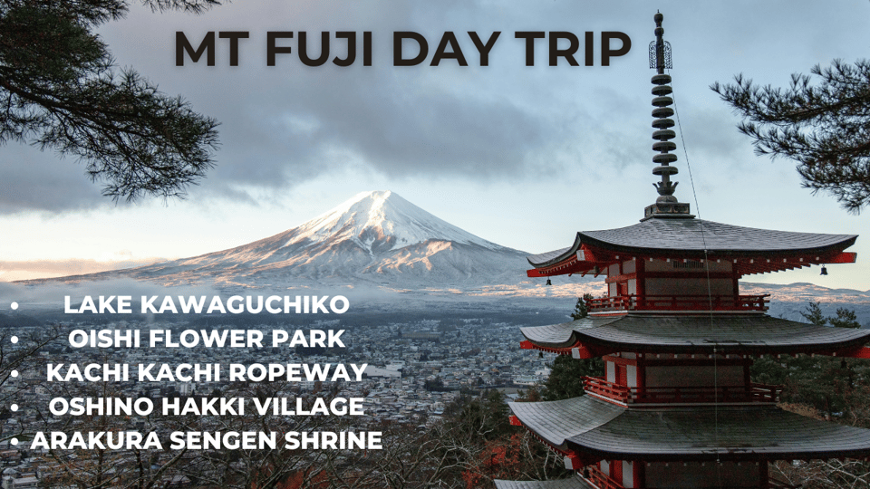 A Full Day Tour in a Private Car or Van of Mt Fuji - Highlights of the Itinerary