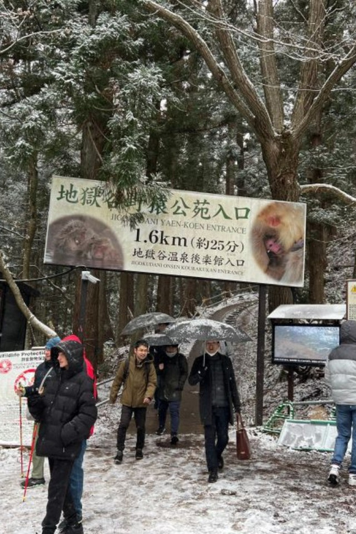 A Memorabele Snow Monkey Park & Zenkoji Temple Private Tour - Wildlife Observation Opportunities