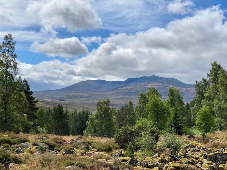 Aberdeenshire: Balmoral Cairns Walking Tour