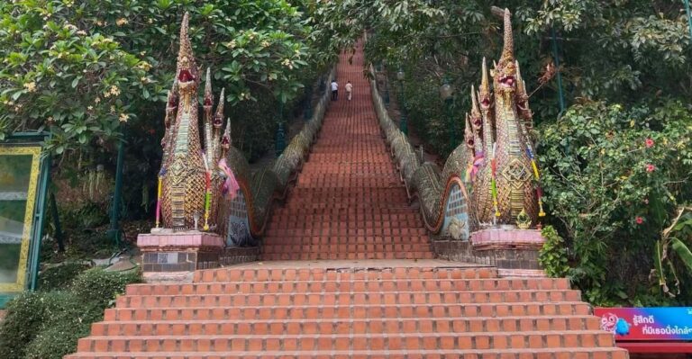 Adventure Hike in Doi Suthep-Pui National Park