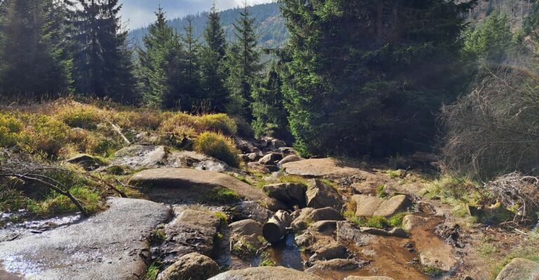 Adventure Hiking and Camping in the Harz Mountains: Brocken